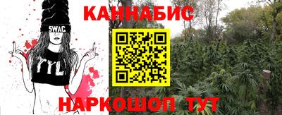 гашик Кимры