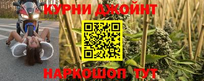 стаф Кинель