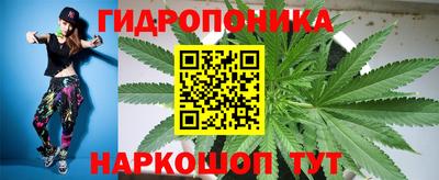 стаф Кинель