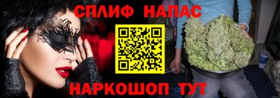 стаф Кинель