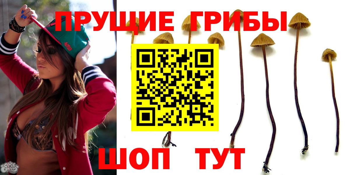 Псилоцибиновые грибы Psilocybine cubensis  Вход с VPN  Котовск 
